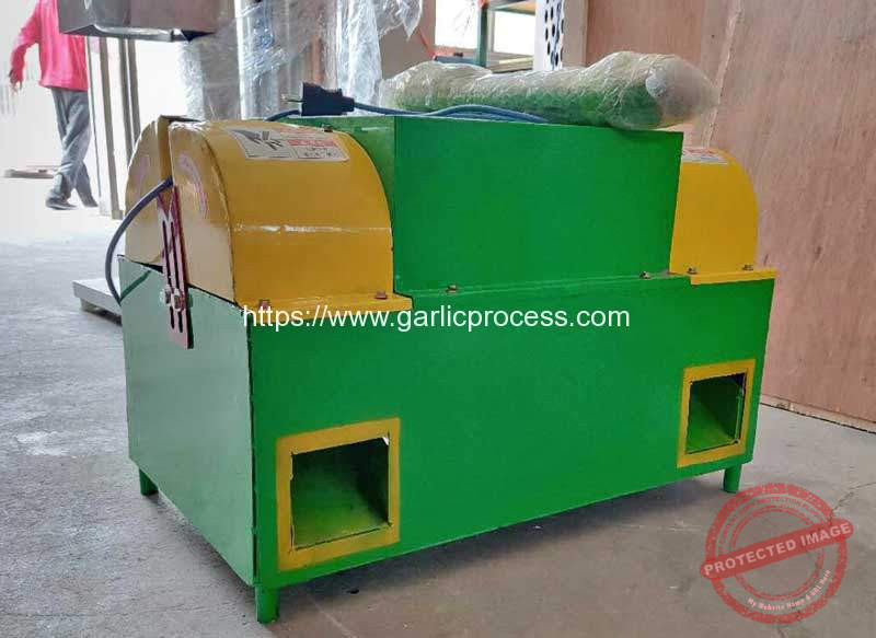 Automatic-Garlic-Root-and-Stem-Cutting-Machine-for-Lithuania